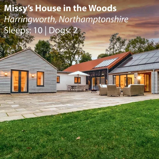 Missy’s House in the Woods