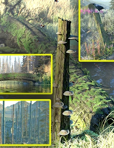 Deadwood Tree Trunks, Ferns and Fungi Bundle