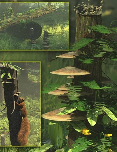 Scatters - Deadwood Fern and Fungi