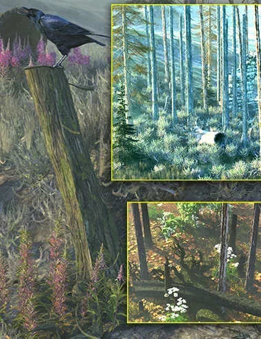 Deadwood Tree Trunks, Logs and Stumps