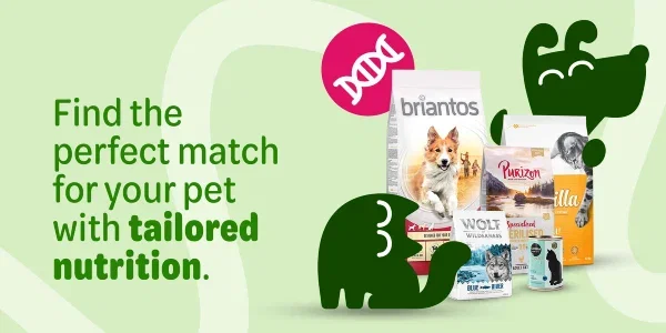 Save on Royal Canin cat food