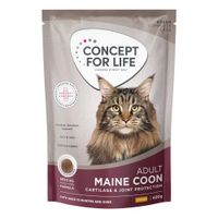 Concept for Life Maine Coon Adult