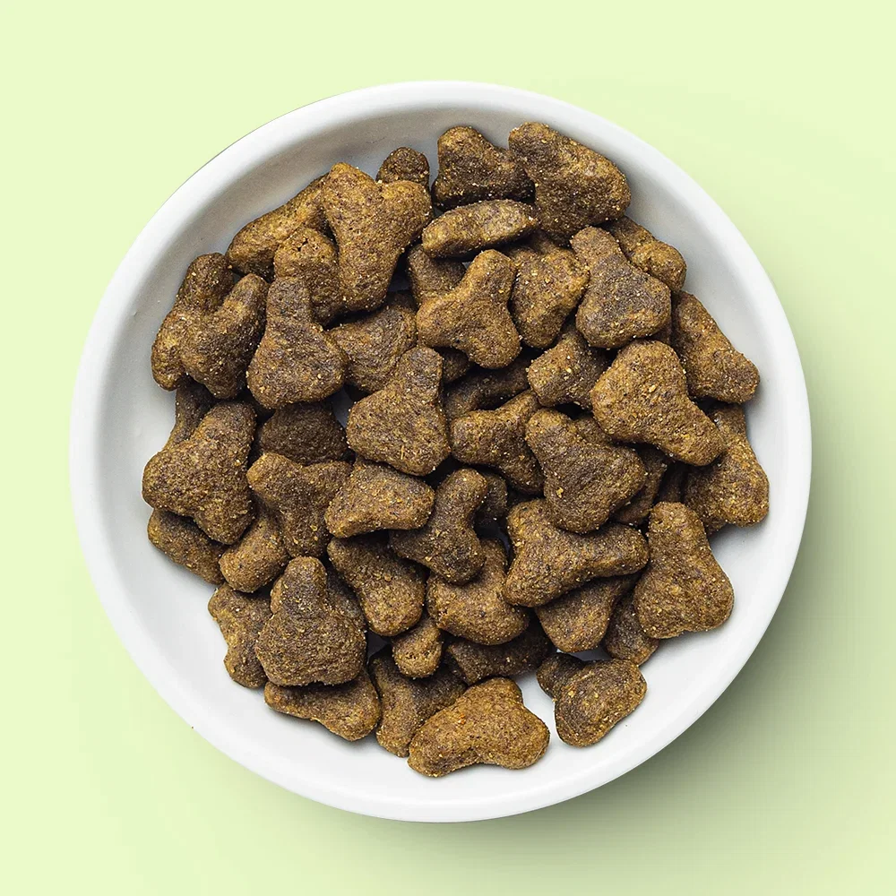 Dry Food
