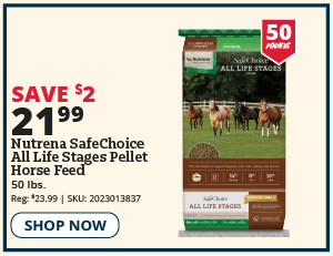 nutrena all life stages horse feed