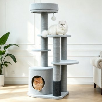 Catry Cohos 64-inch Cat Tree with High Back Sofa