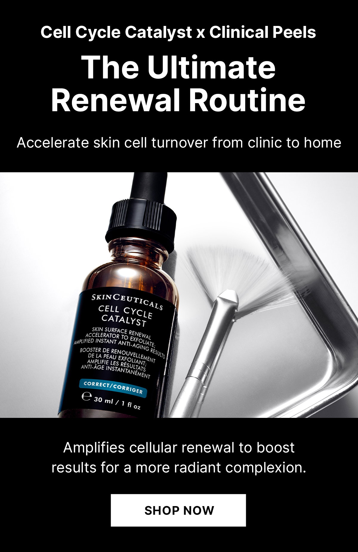 The Ultimate Renewal Rouitne