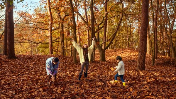 Vacances d’automne 2026: jusqu’à -15% chez Center Parcs pour partir en famille à la dernière minute
