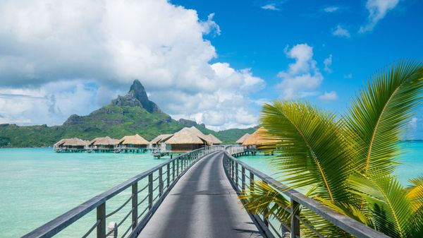Puzzle: voyage en Polynésie Française