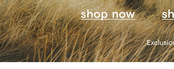 Shop now