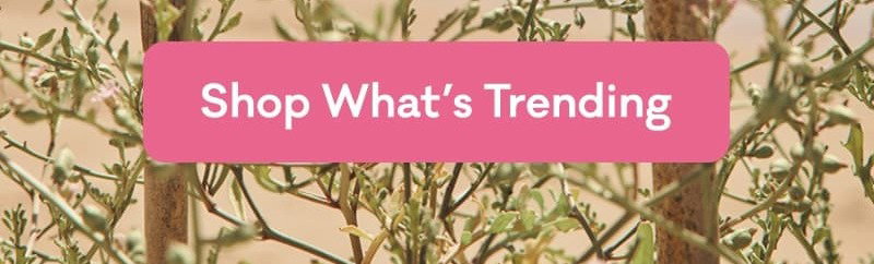 Shop What's Trending