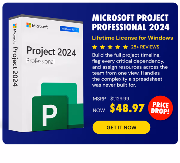 Microsoft Project Professional 2024: Lifetime License for Windows