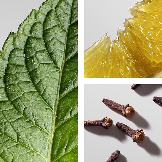 A mint leaf, lemon slice and cloves.
