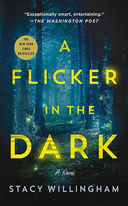 A Flicker in the Dark: A Novel