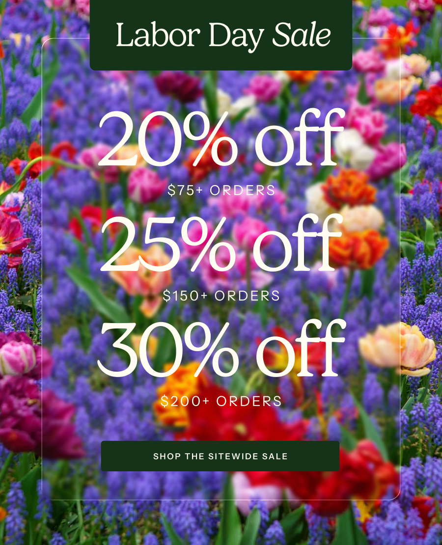 Labor Day Sale - 20% off $75+, 25% off $150+, 30% off $200+