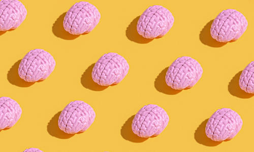 This Is The Secret To A Sharper Brain & It May Start Long Before Old Age