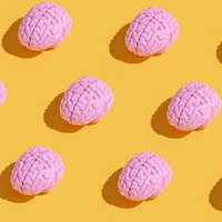 This Is The Secret To A Sharper Brain & It May Start Long Before Old Age