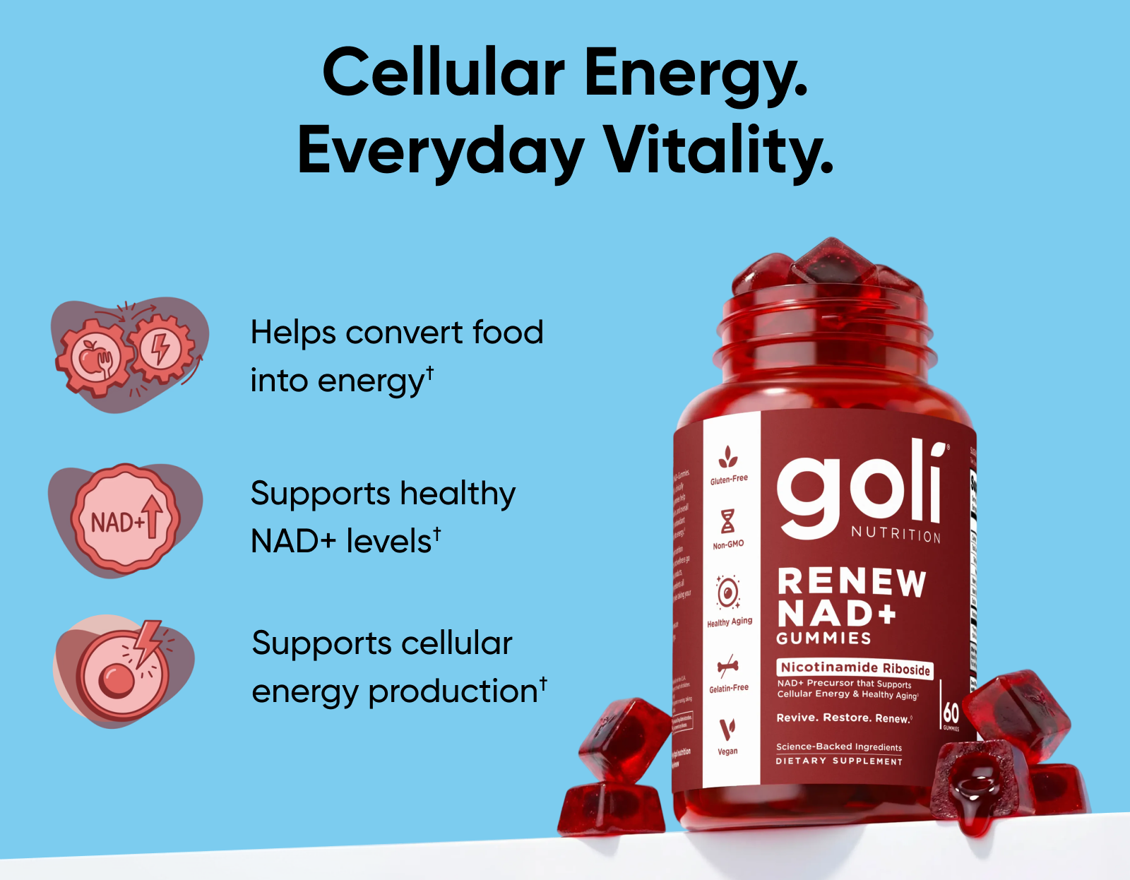 Cellular Energy. Everyday Vitality. Helps convert food into energy† Supports healthy NAD+ levels† Supports cellular energy production†