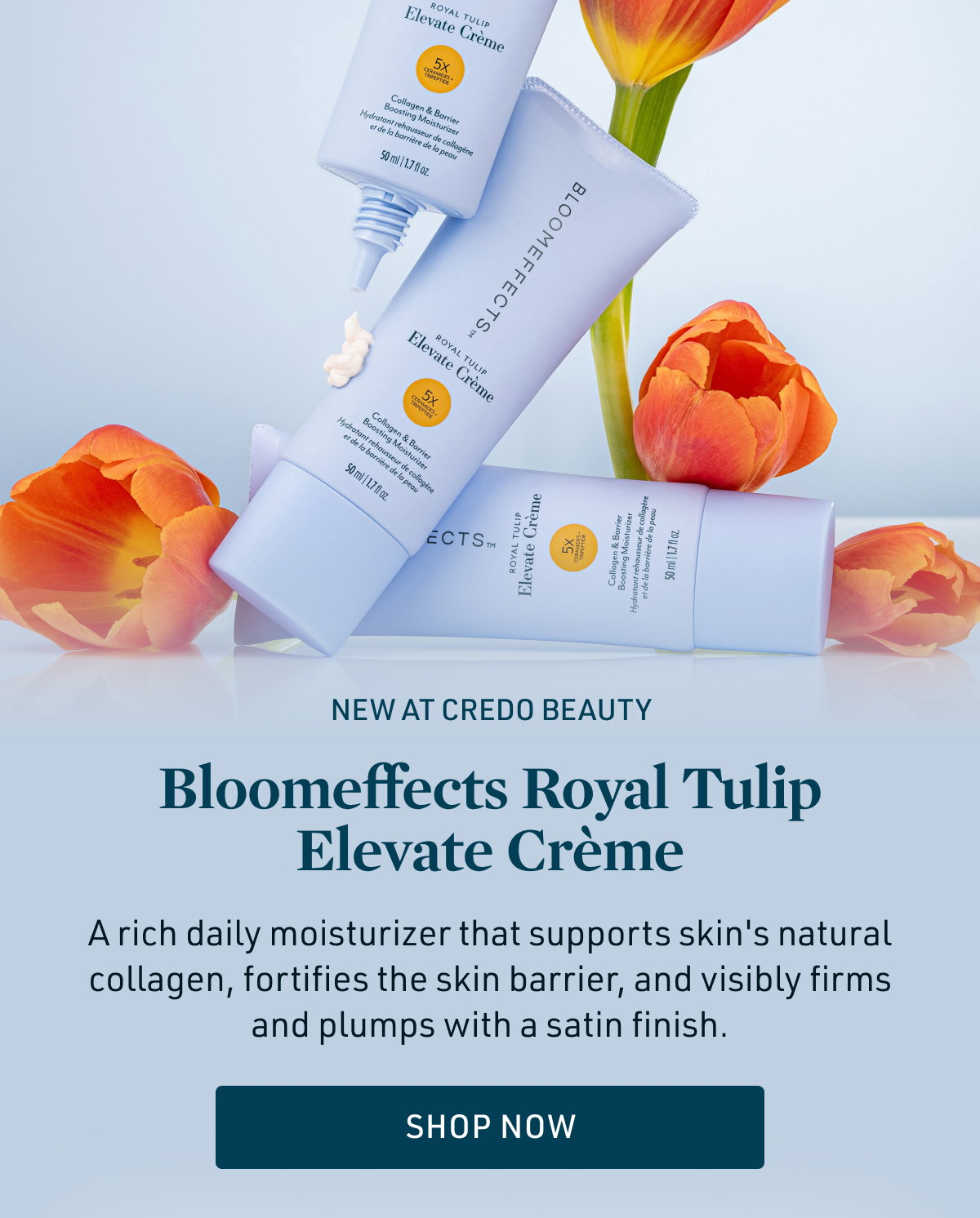 New at Credo Beauty