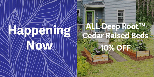 Deep Root Cedar Raised Beds 10% OFF