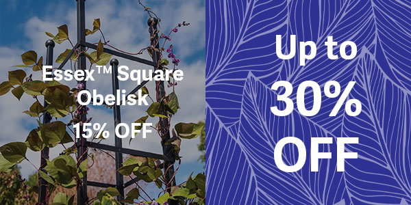 Up to 30% OFF - Essex Square Obelisk - 15% OFF