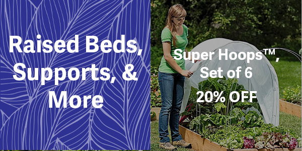 Super Hoops 20% OFF
