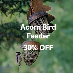 Acorn Bird Feeder - 30% OFF