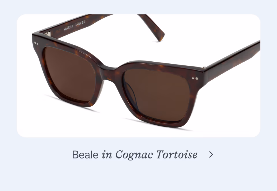 Beale in Cognac Tortoise