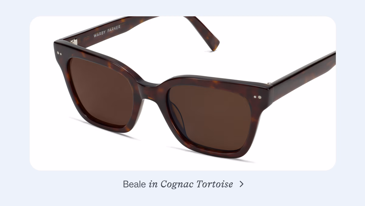 Beale in Cognac Tortoise
