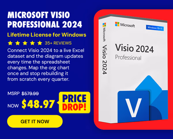 Microsoft Visio Professional 2024: Lifetime License for Windows