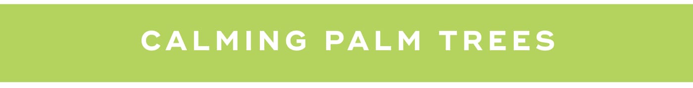 CALMING PALM TREES