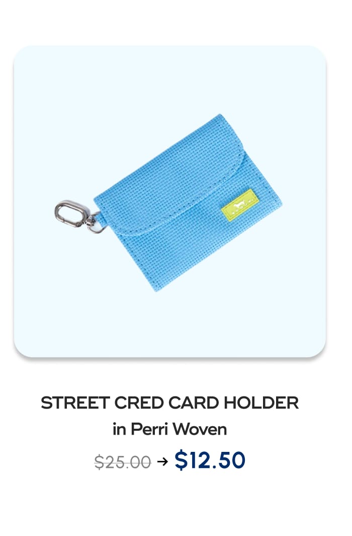 STREET CRED CARD HOLDER. in Perri Woven. $25.00 -> $12.50