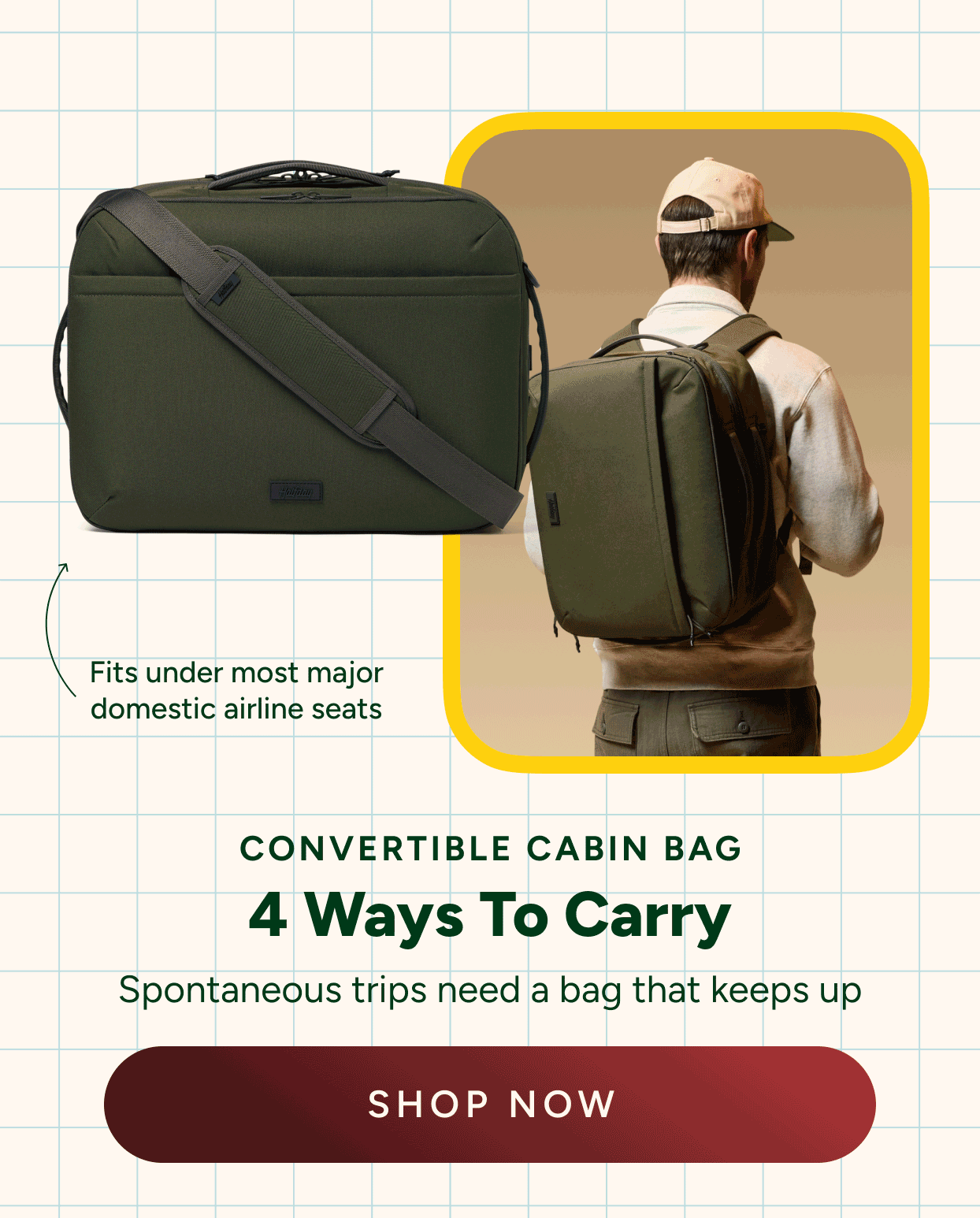 cabin bag
