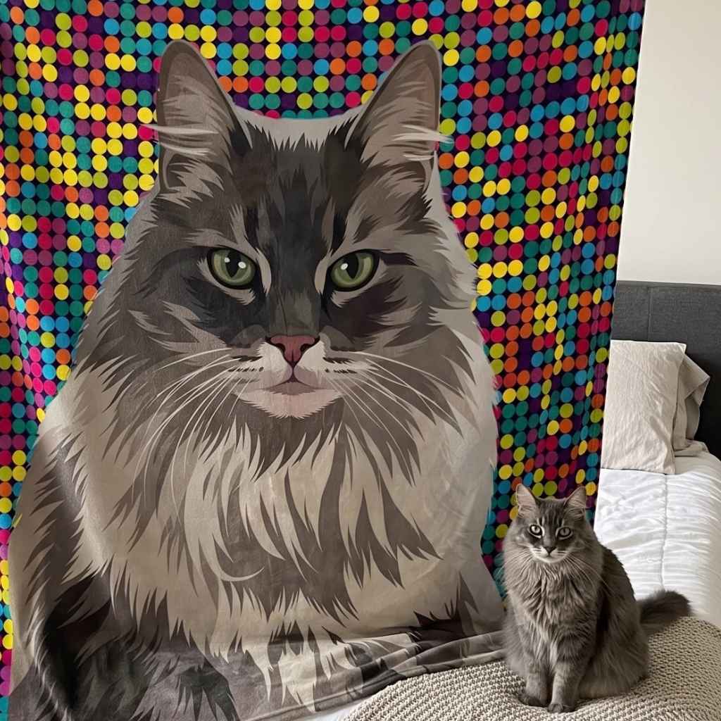 Cat blanket