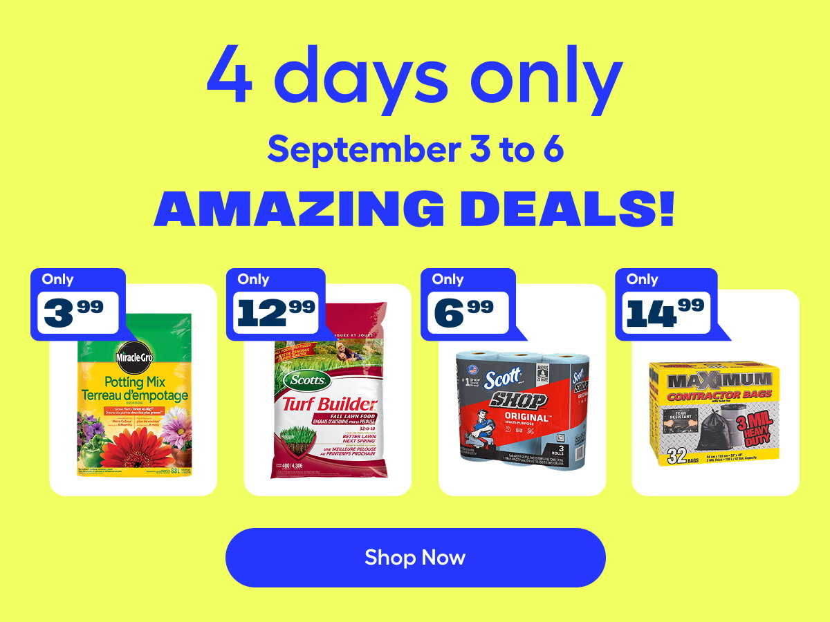 4 days of amazing deals!