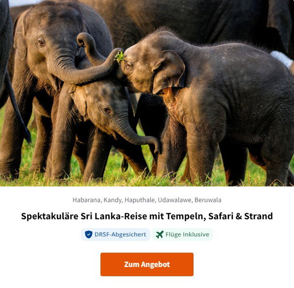 Spektakuläre Sri Lanka-Reise mit Tempeln, Safari & Strand