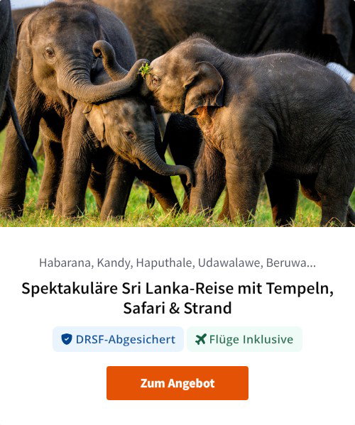Spektakuläre Sri Lanka-Reise mit Tempeln, Safari &amp; Strand