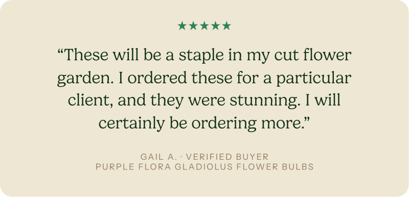 “These will be a staple in my cut flower garden. I ordered these for a particular client, and they were stunning. I will certainly be ordering more.”