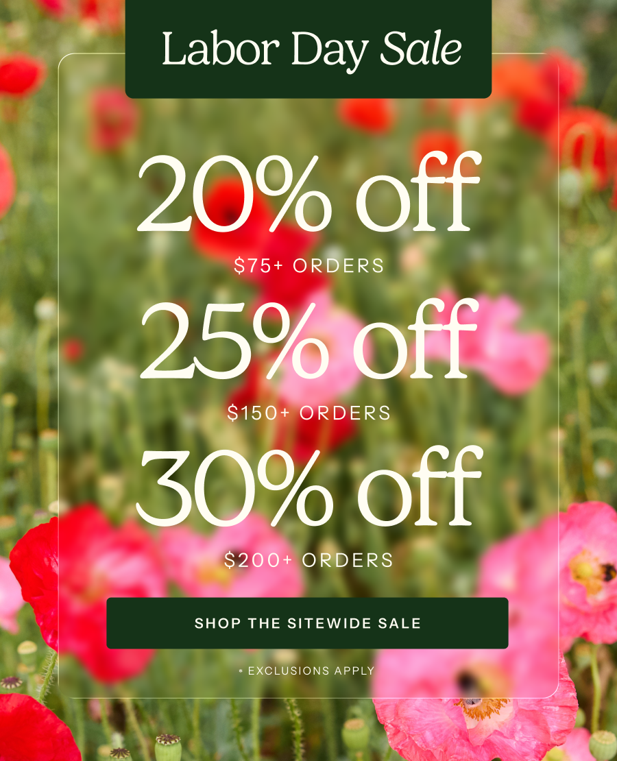 Labor Day Sale - 20% off $75+, 25% off $150+, 30% off $200+ .  Exclusions apply.
