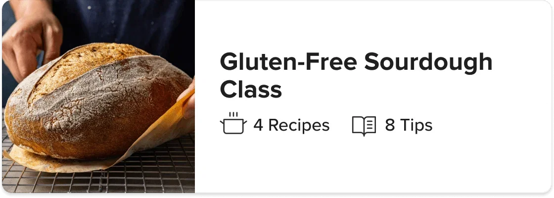 Gluten-Free Sourdough Class