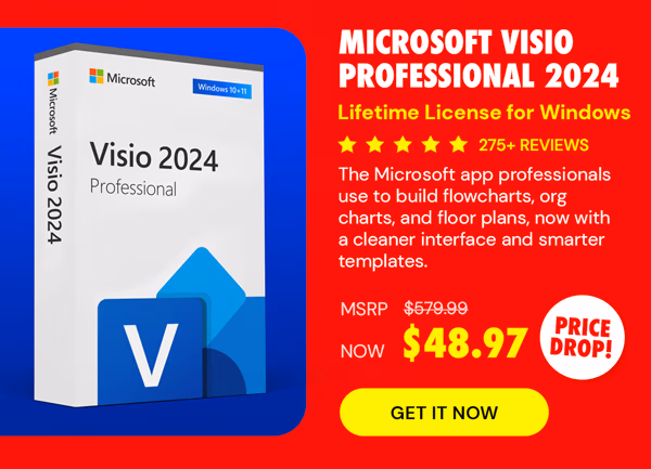 Microsoft Visio Professional 2024: Lifetime License for Windows