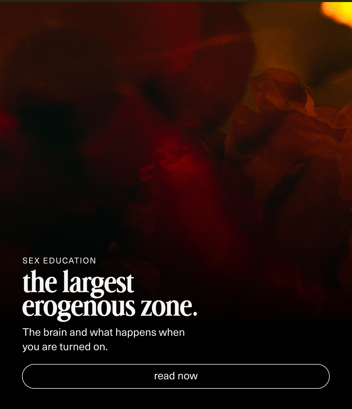 Sex Education | The largest erogenous zone. | The brain and what happens when you are turned on.