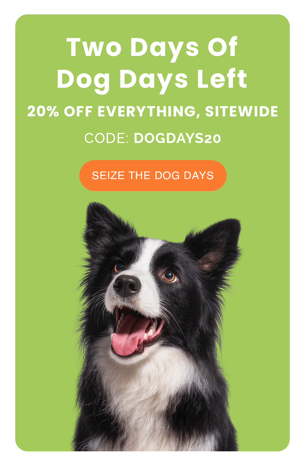 Two Days Of Dog Days Left. 20% OFF EVERYTHING, SITEWIDE. CODE: DOGDAYS20