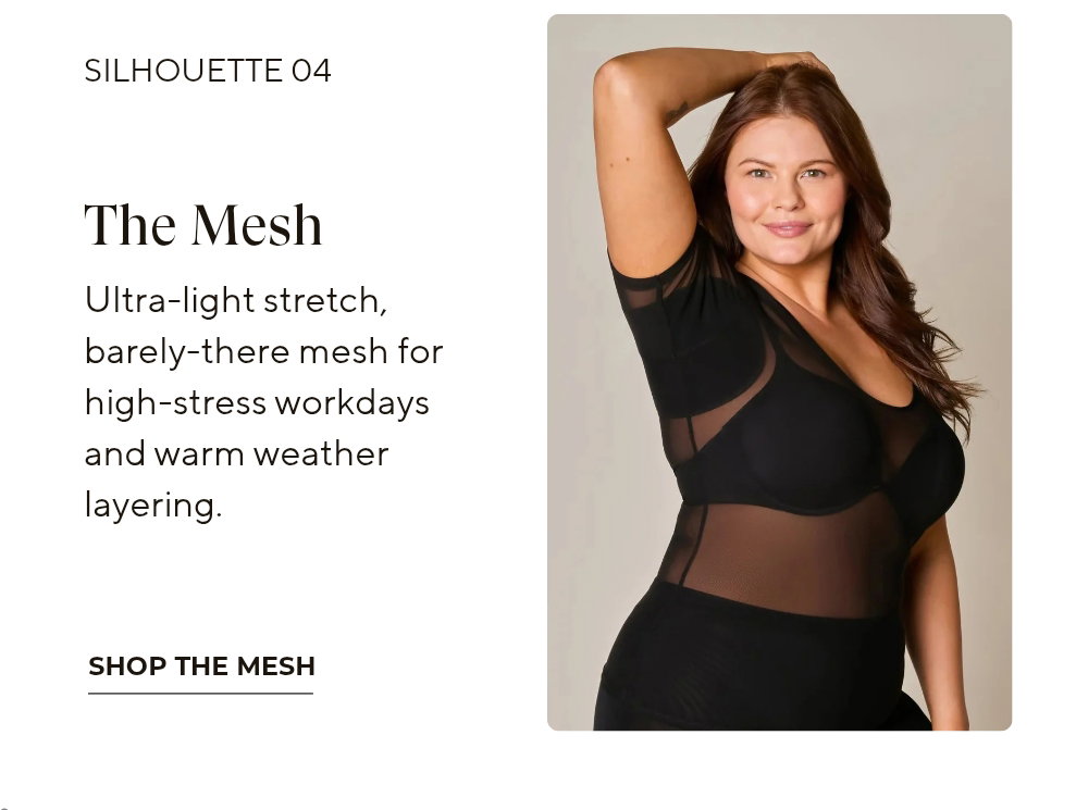 The Mesh