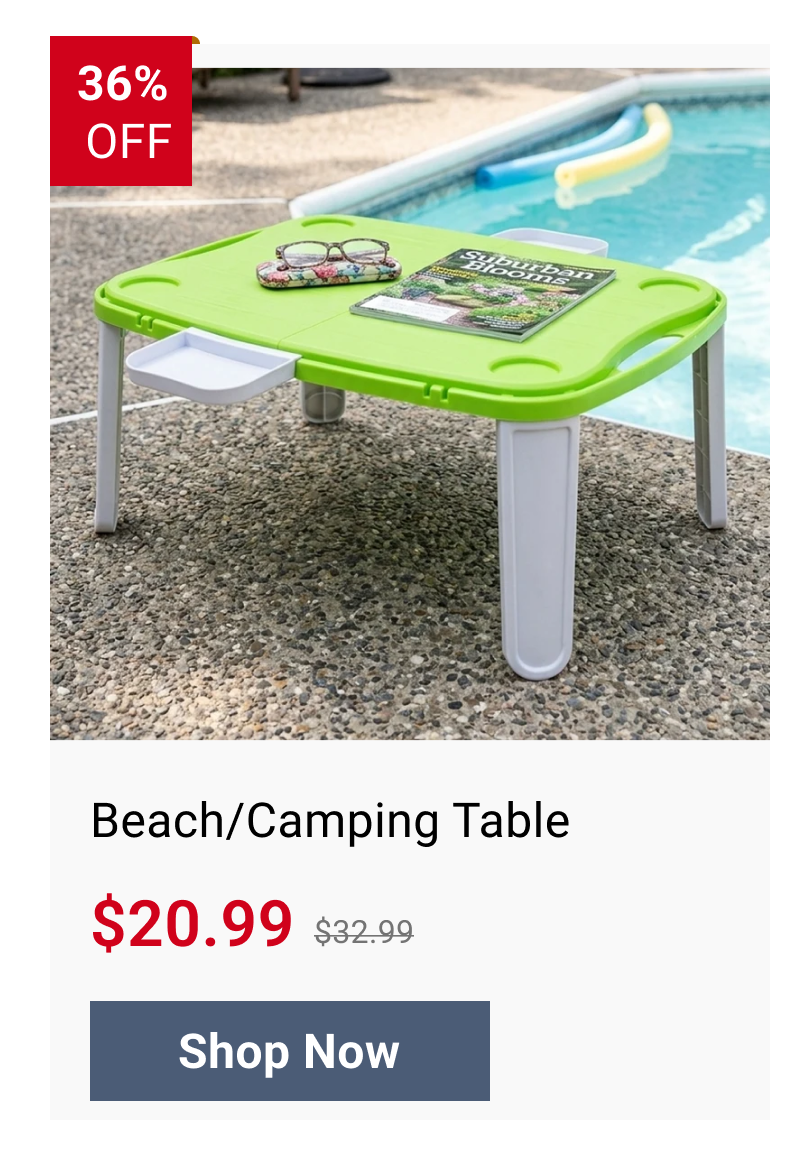 Beach/Camping Table