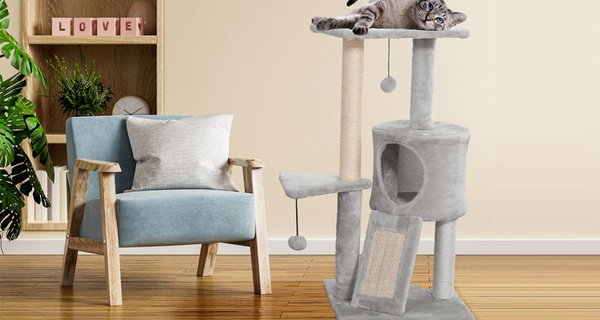 Griffoir pour chat