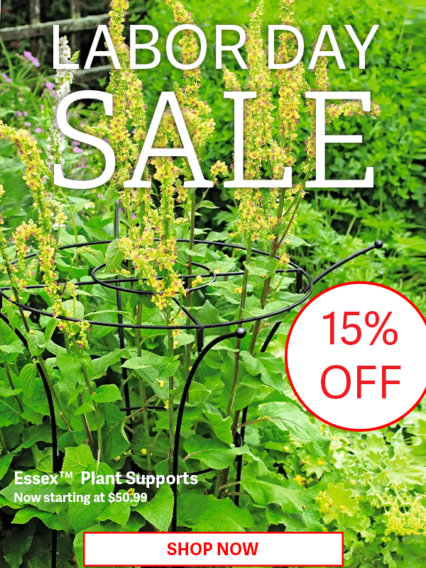 Labor Day Sale - Essex Plant Supports - 15% OFF - SHOP NOW