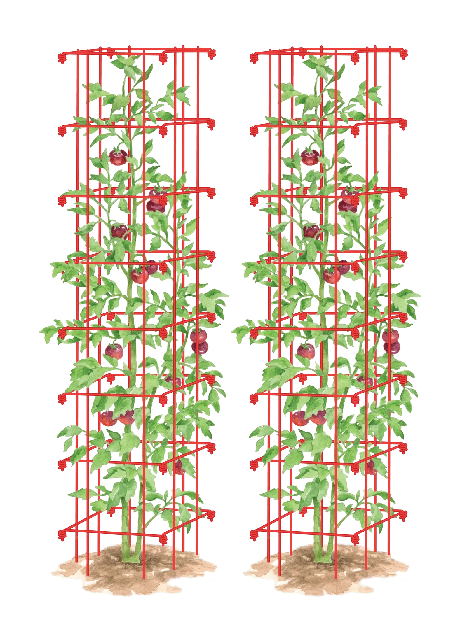 Image of Tomato Towers, Set of 2
