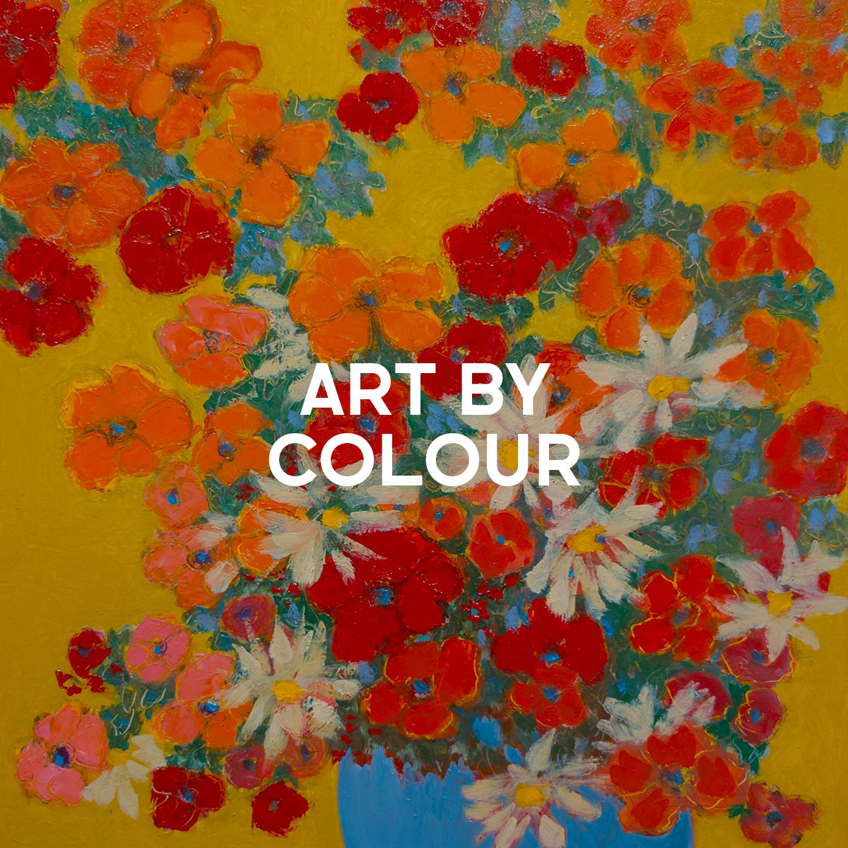 Shop by colour