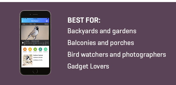 Your new favorite notification: our Video Camera Bird Feeder