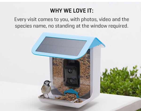 Your new favorite notification: our Video Camera Bird Feeder